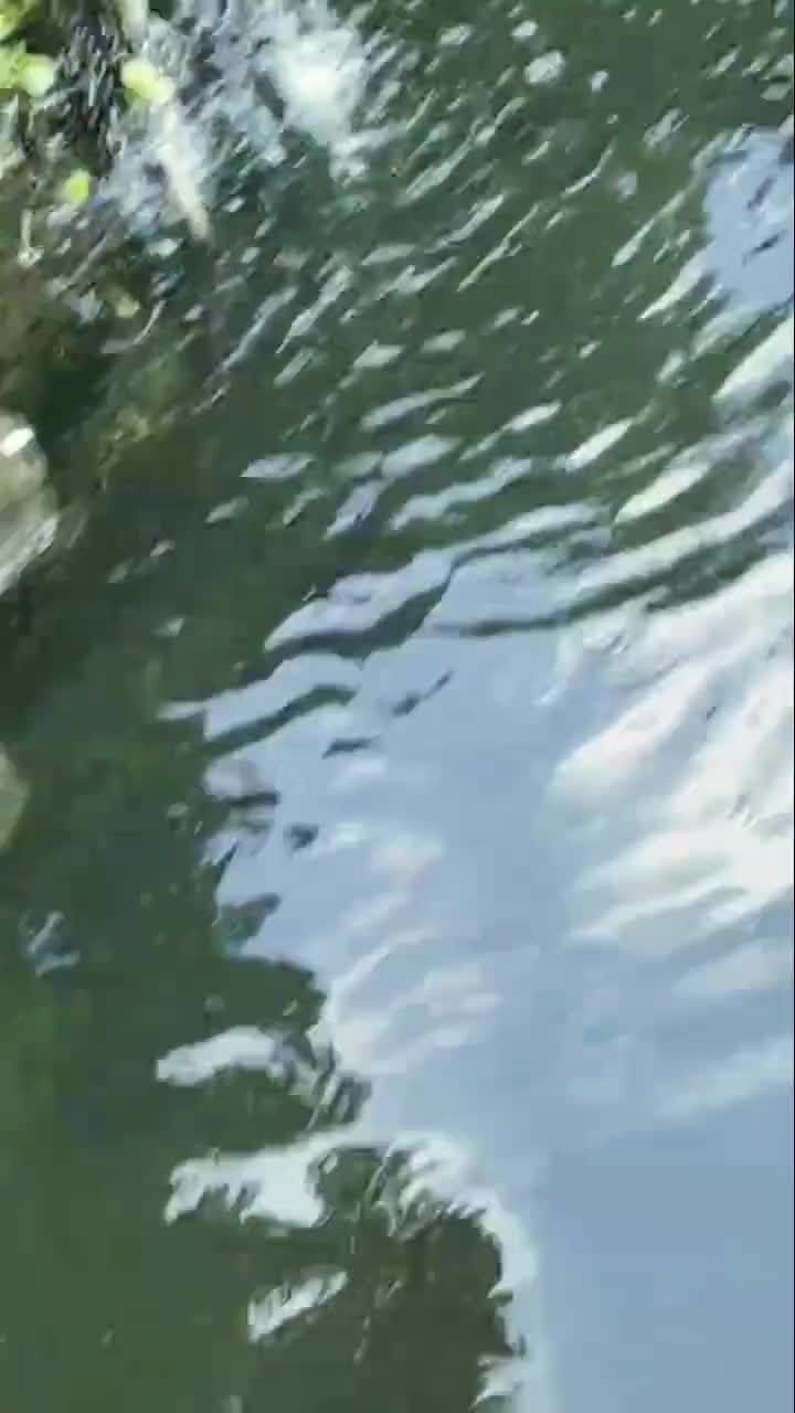 看自己的风景——知足感恩