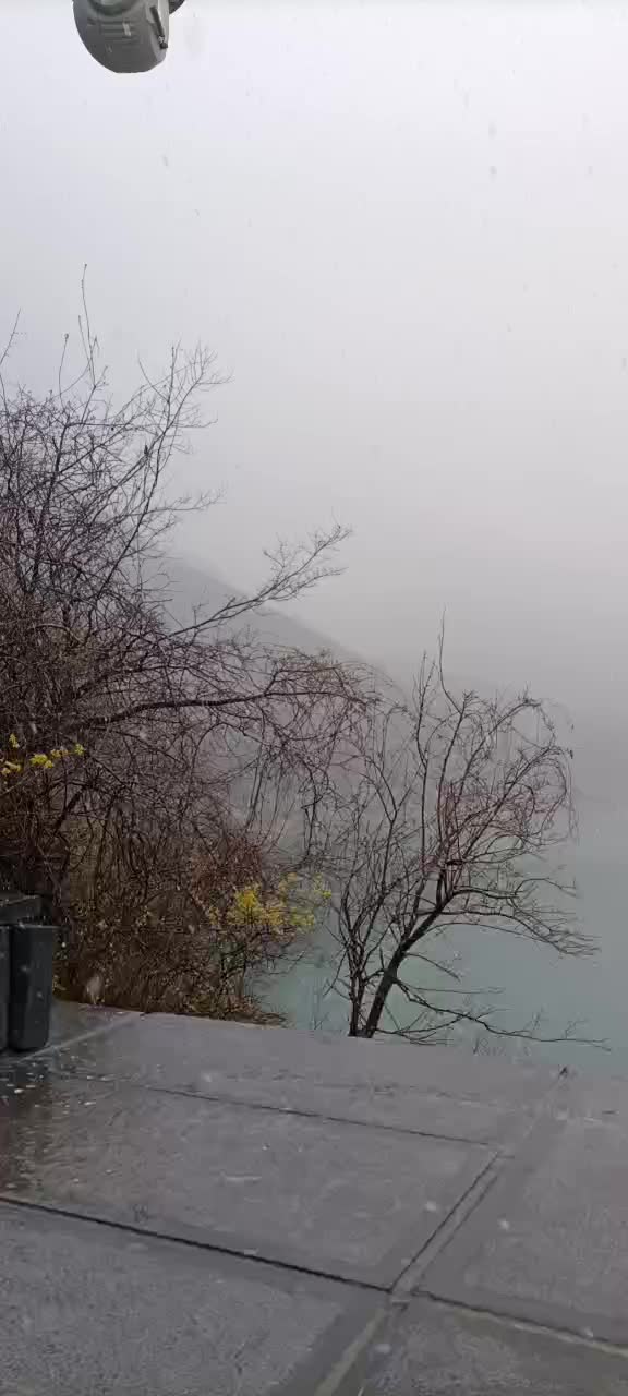 下雪啦