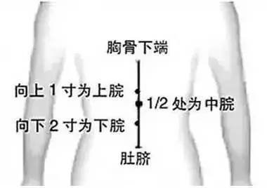 胃肠功能紊乱的治疗穴位