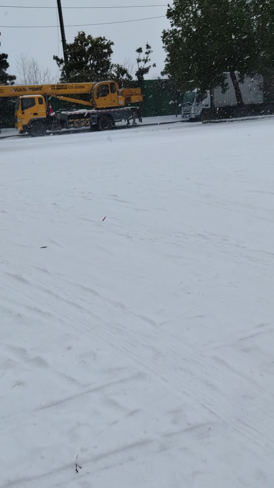今日大雪
