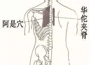 从古至今的医学解释，让你健康长寿