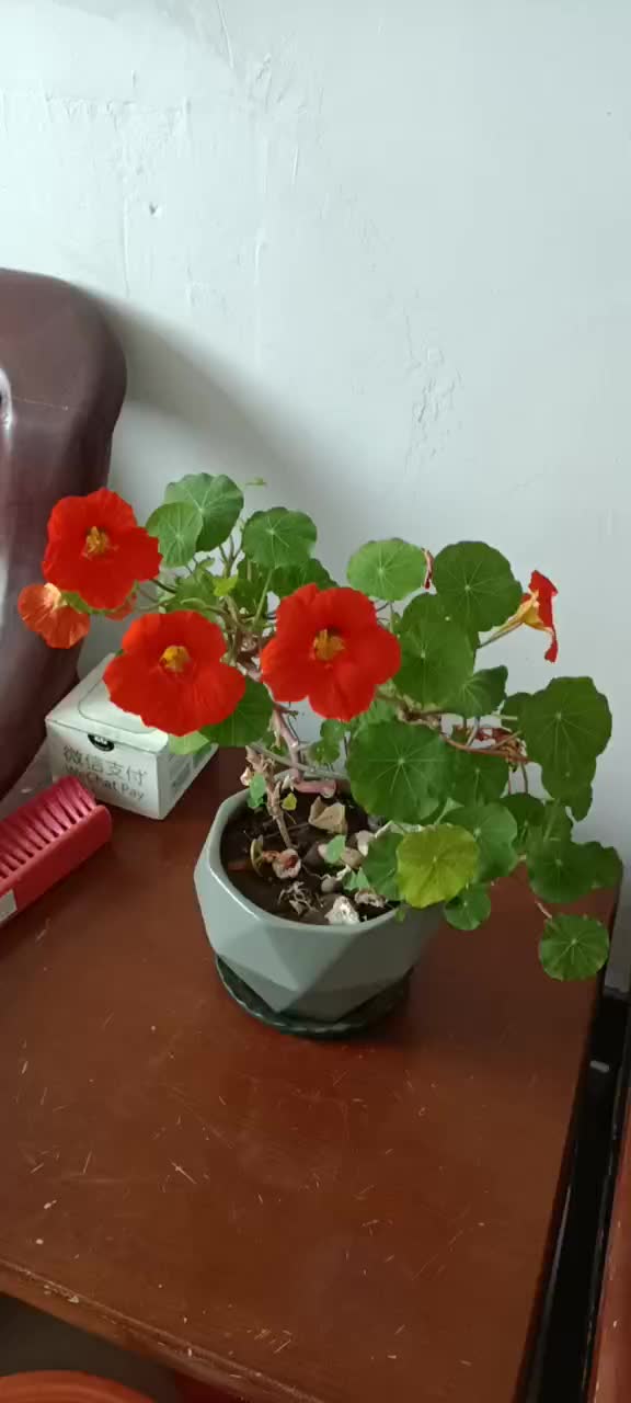 花