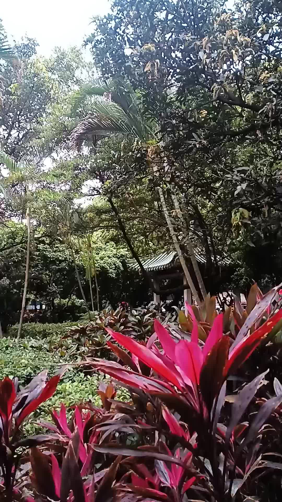 公园一角