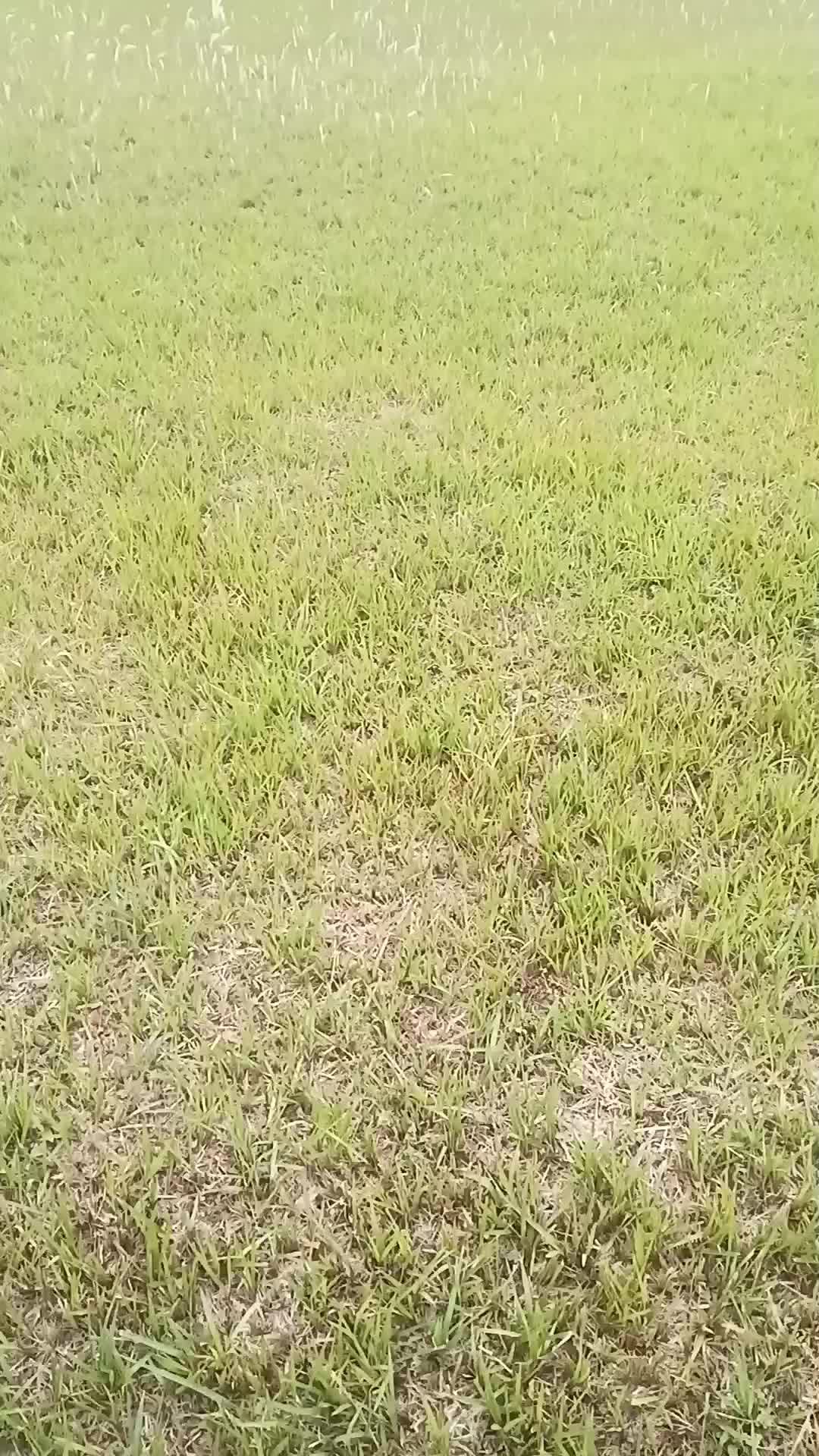 天气晴朗