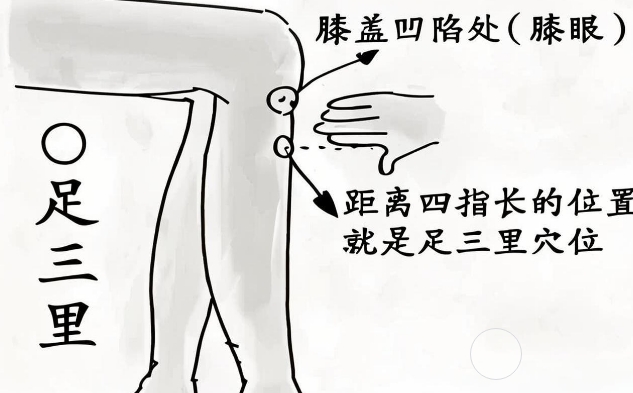 微信截图_20241203152159.jpg