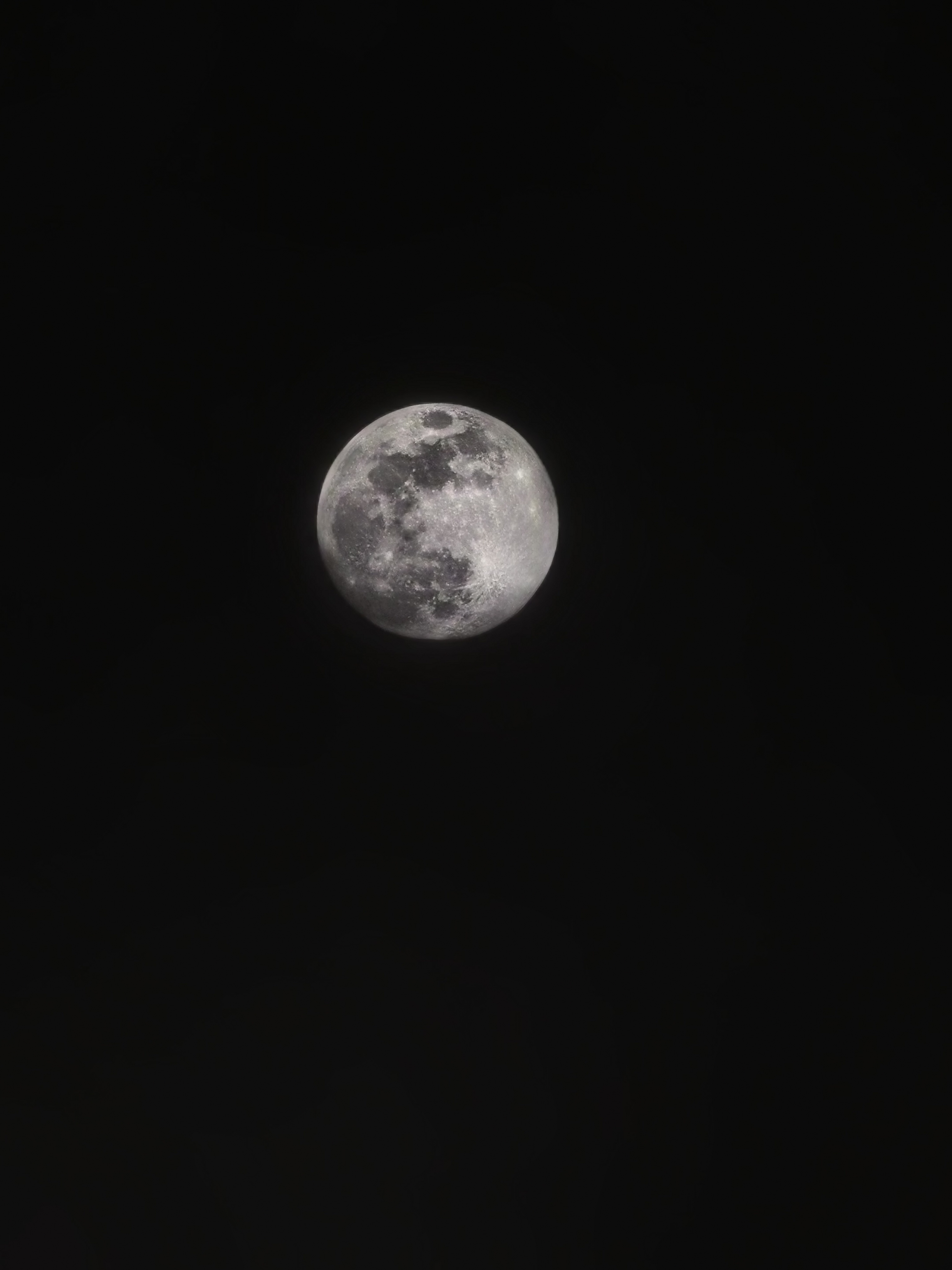🌙