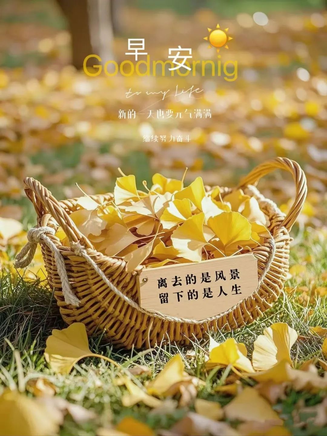 心怀美好，人间皆是浪漫