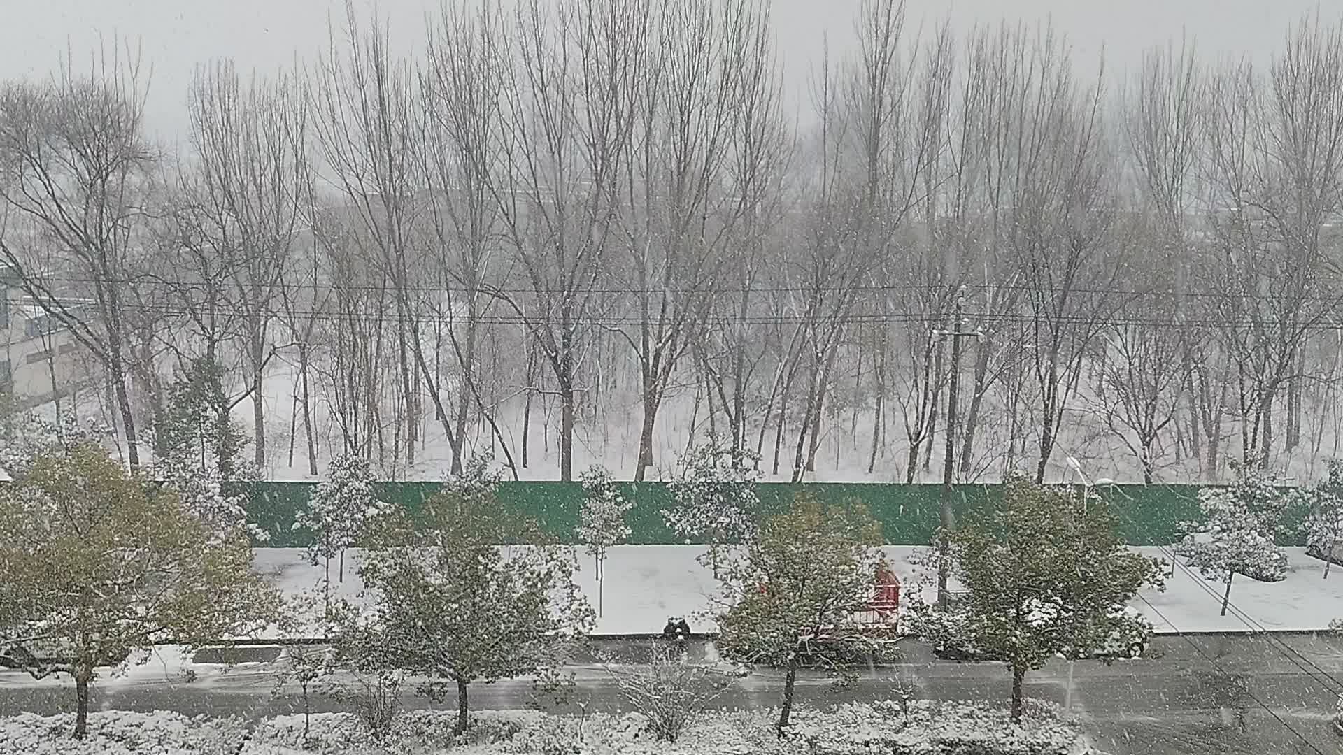 春天的