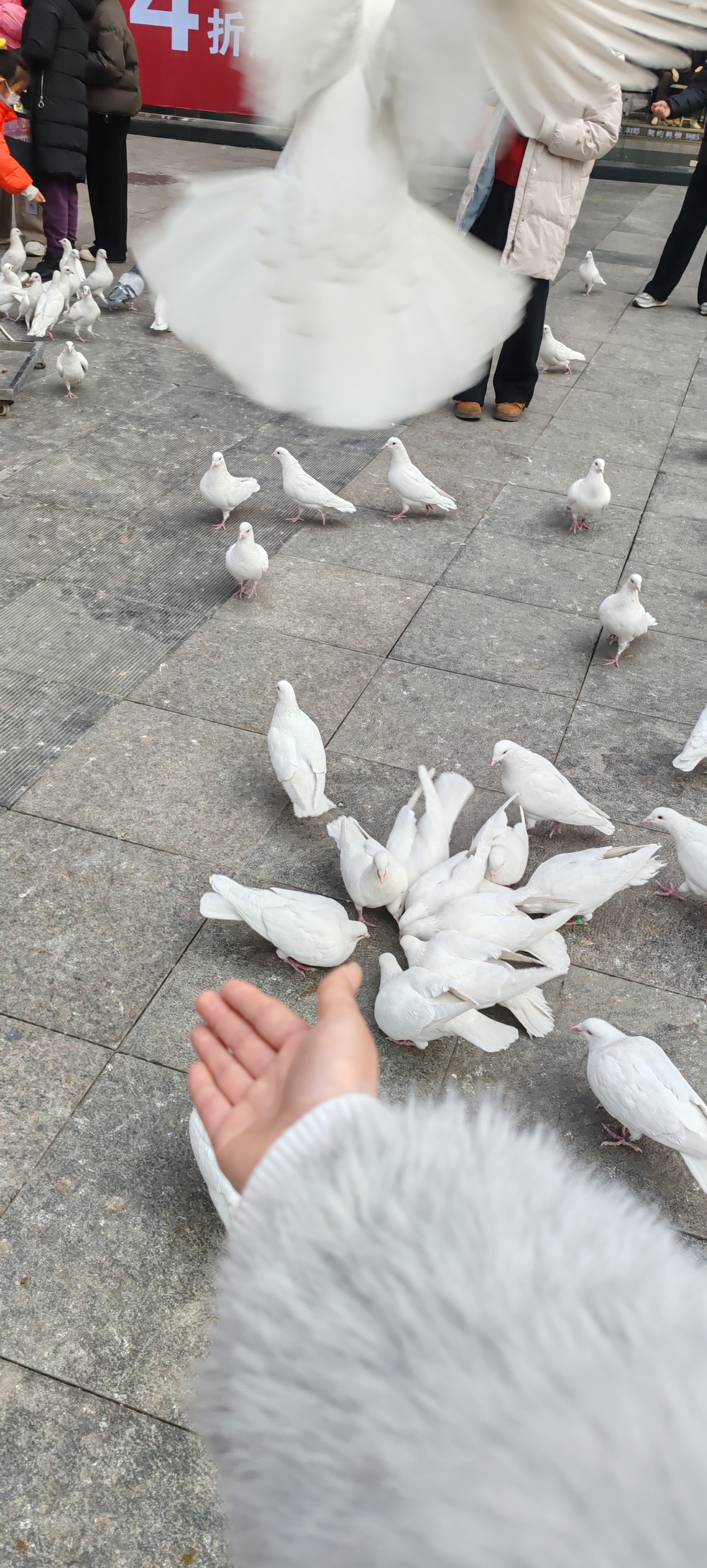 您好