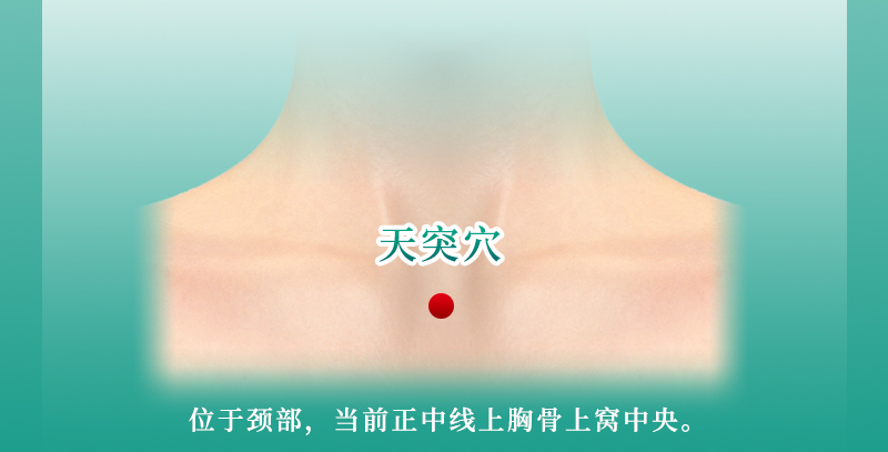 天突穴.png