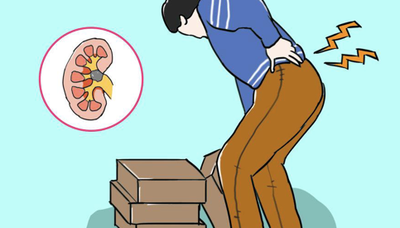 吃什么可以给肾脏排毒？这些食物助让肾脏“减负”