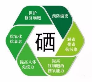 硒片的作用和功效